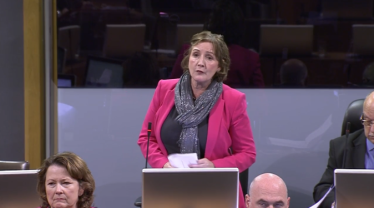 Janet in the senedd 111218