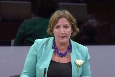 Janet in plenary 8519