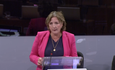 Janet during reasonable ch debate