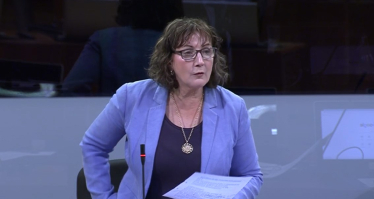 Janet in the chamber during plenary.