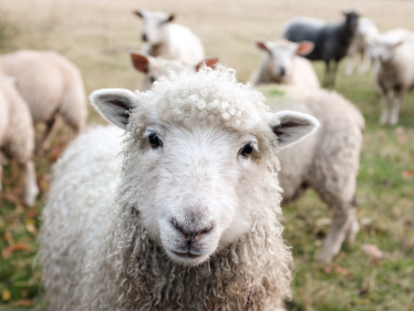 Photo: by Sam Carter on Unsplash