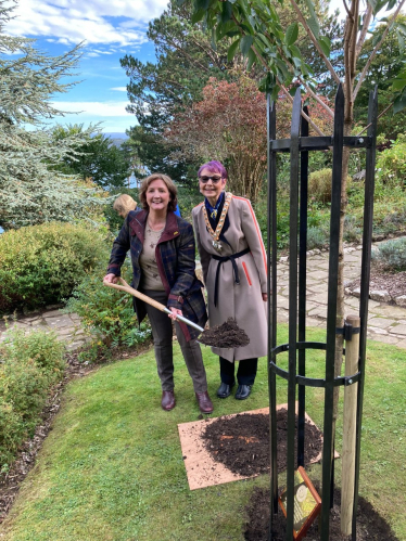 Janet Finch-Saunders MS