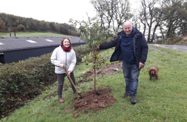 Llun: Janet Finch-Saunders AS yn plannu coeden.