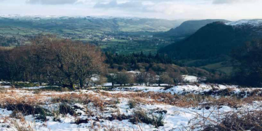 Janet Finch-Saunders MS