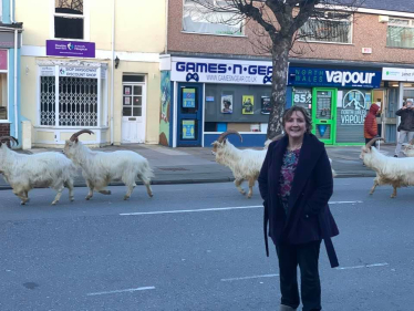 Janet Finch-Saunders MS/AS